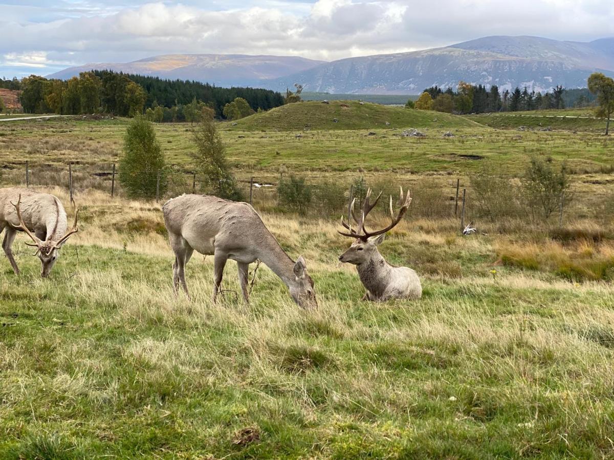 ホテル Ardenbeg Grantown-on-Spey エクステリア 写真